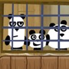 3 Pandas 1 Game