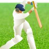 Cricket: Defend the Wicket! Game