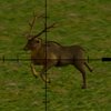 Deer Hunter 2020 Game