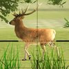 Deer Hunter: Classical Game