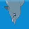 My Dolphin Show 2 Game